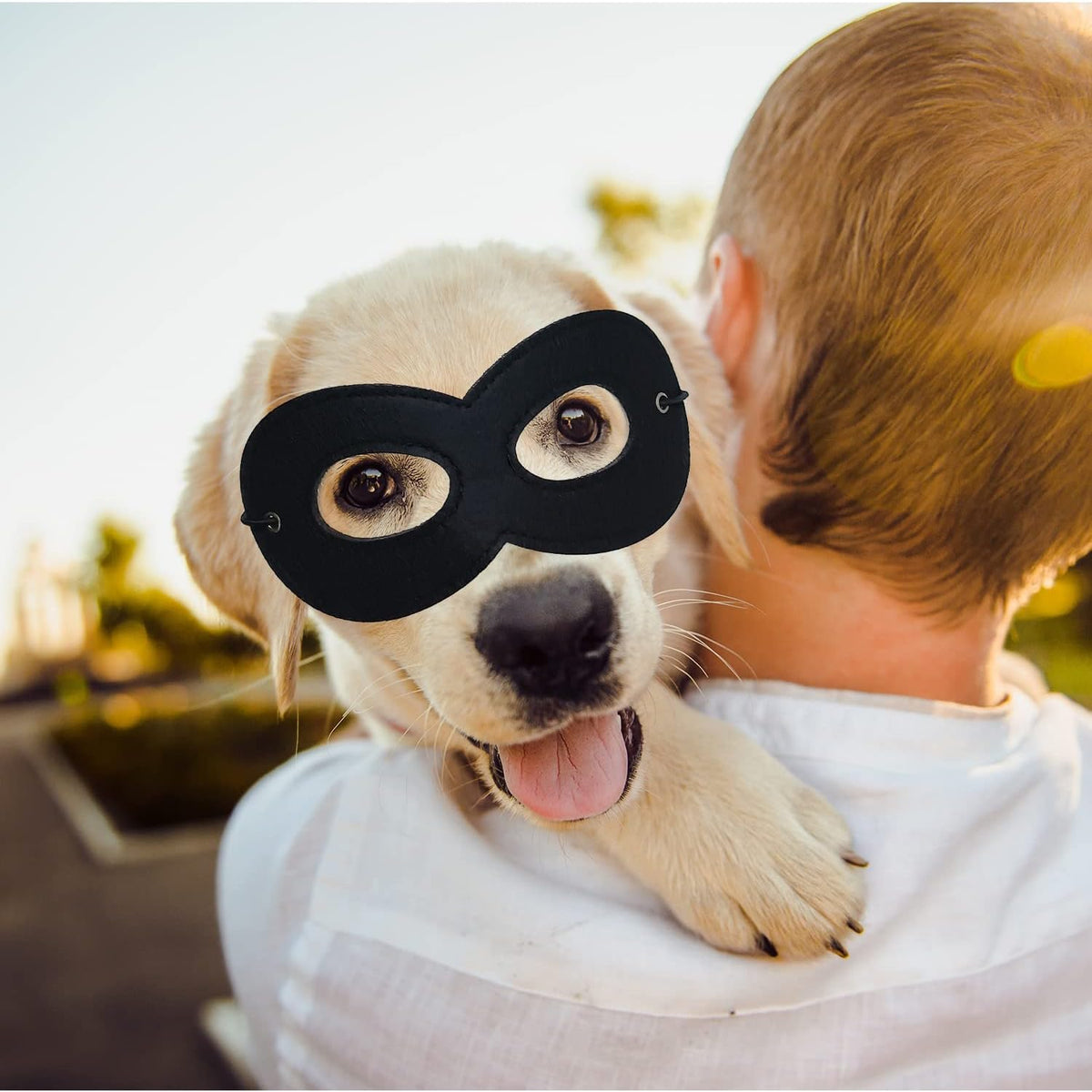 4 Pieces Superhero Mask Halloween Robber Dress Up Masks Black Felt Eye Masks Cosplay Half Masks with Elastic Rope